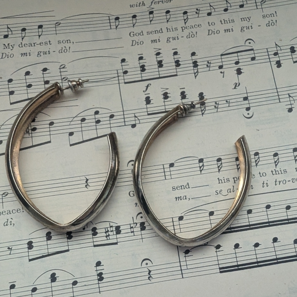 Silver Hoop Large Earrings